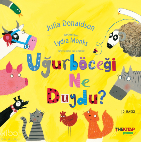 Uğurböceği Ne Duydu?