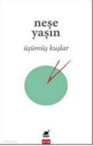Üşümüş Kuşlar