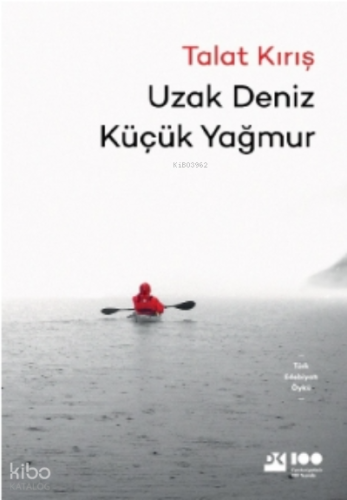 Uzak Deniz Küçük Yağmur
