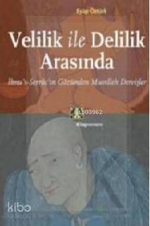 Velilik ile Delilik Arasında; İbnus-Serrâcın Gözünden Muvelleh Dervişl