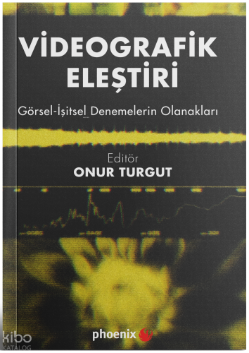 Videografik Eleştiri ;Görsel – İşitsel Denemelerin Olanakları