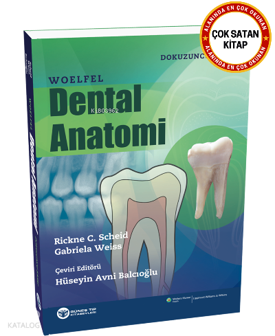 Woelfel Dental Anatomi
