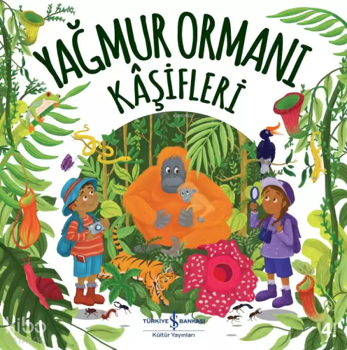 Yağmur Ormanı Kaşifleri