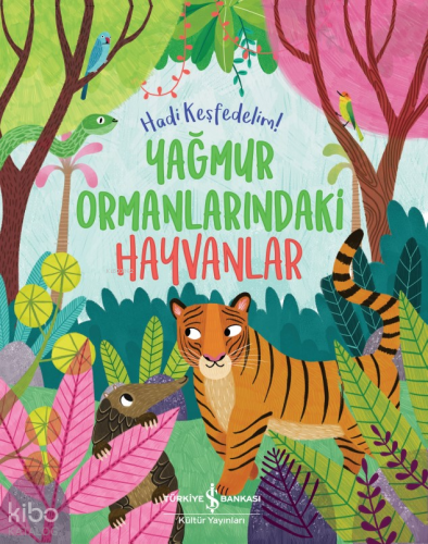 Yağmur Ormanlarındaki Hayvanlar;Hadi Keşfedelim!