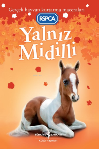 Yalnız Midilli ;Gerçek Hayvan Kurtarma Maceraları - Kitapiks.com