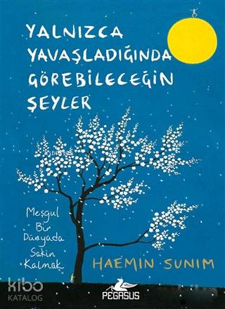 Yalnızca Yavaşladığında Görebileceğin Şeyler; Meşgul Bir Dünyada Sakin Kalmak