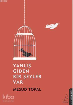 Yanlış Giden Bir Şeyler Var