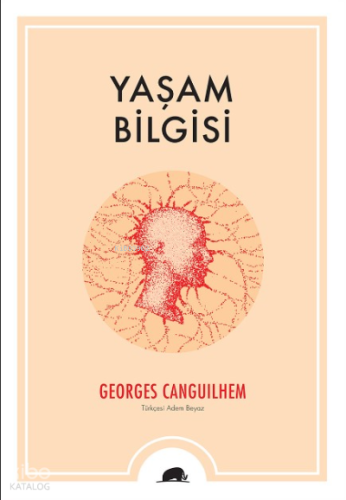 Yaşam Bilgisi