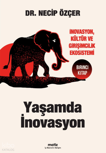 Yaşamda İnovasyon;İnovasyon, Kültür ve Girişimcilik Ekosistemi