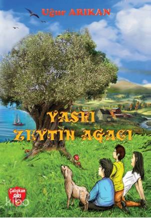 Yaşlı Zeytin Ağacı; (+9 Yaş)