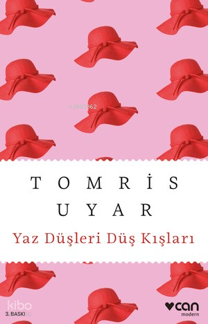 Yaz Düşleri Düş Kışları