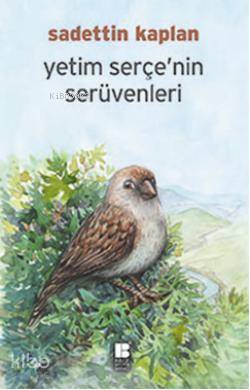 Yetim Serçe'nin Serüveni - Kitapiks.com